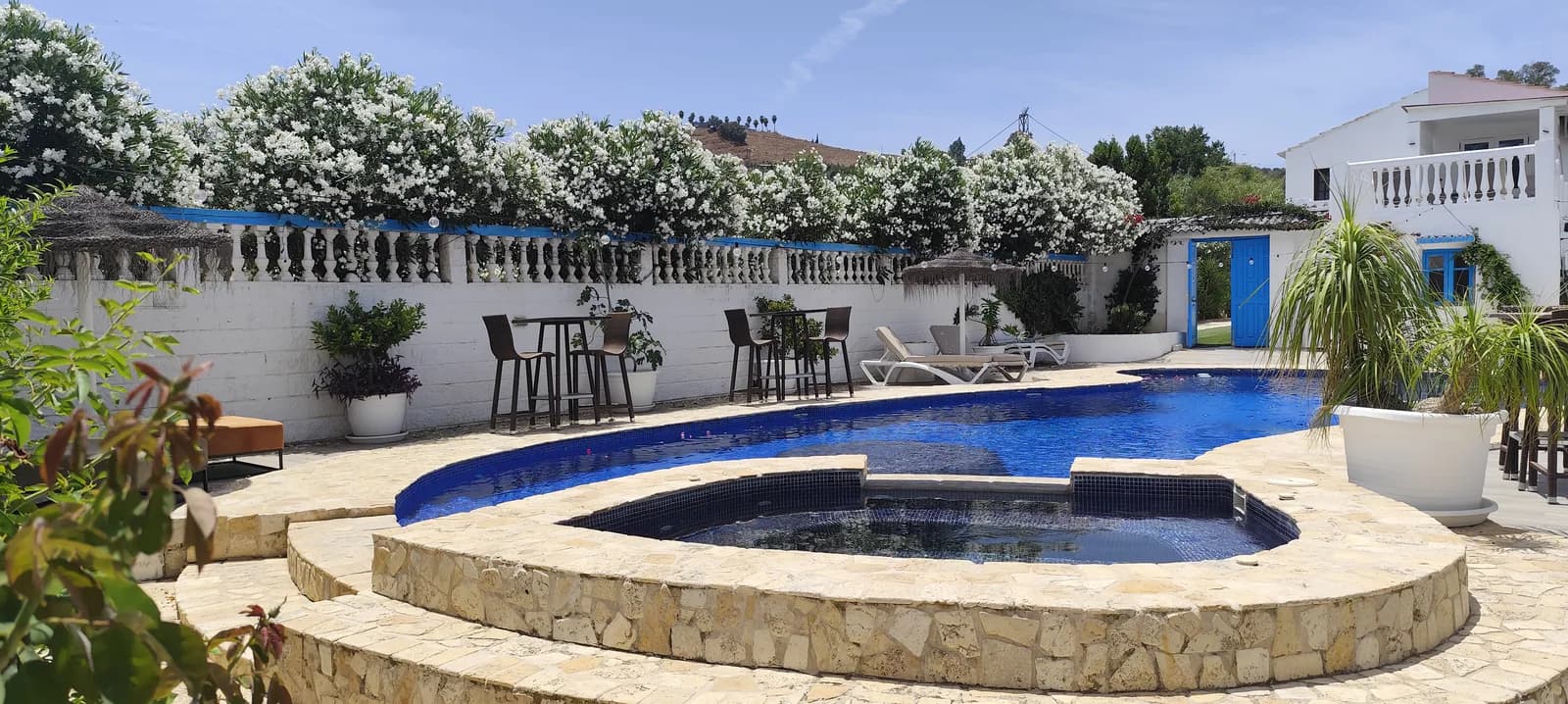 The Dragonfly pool courtyard