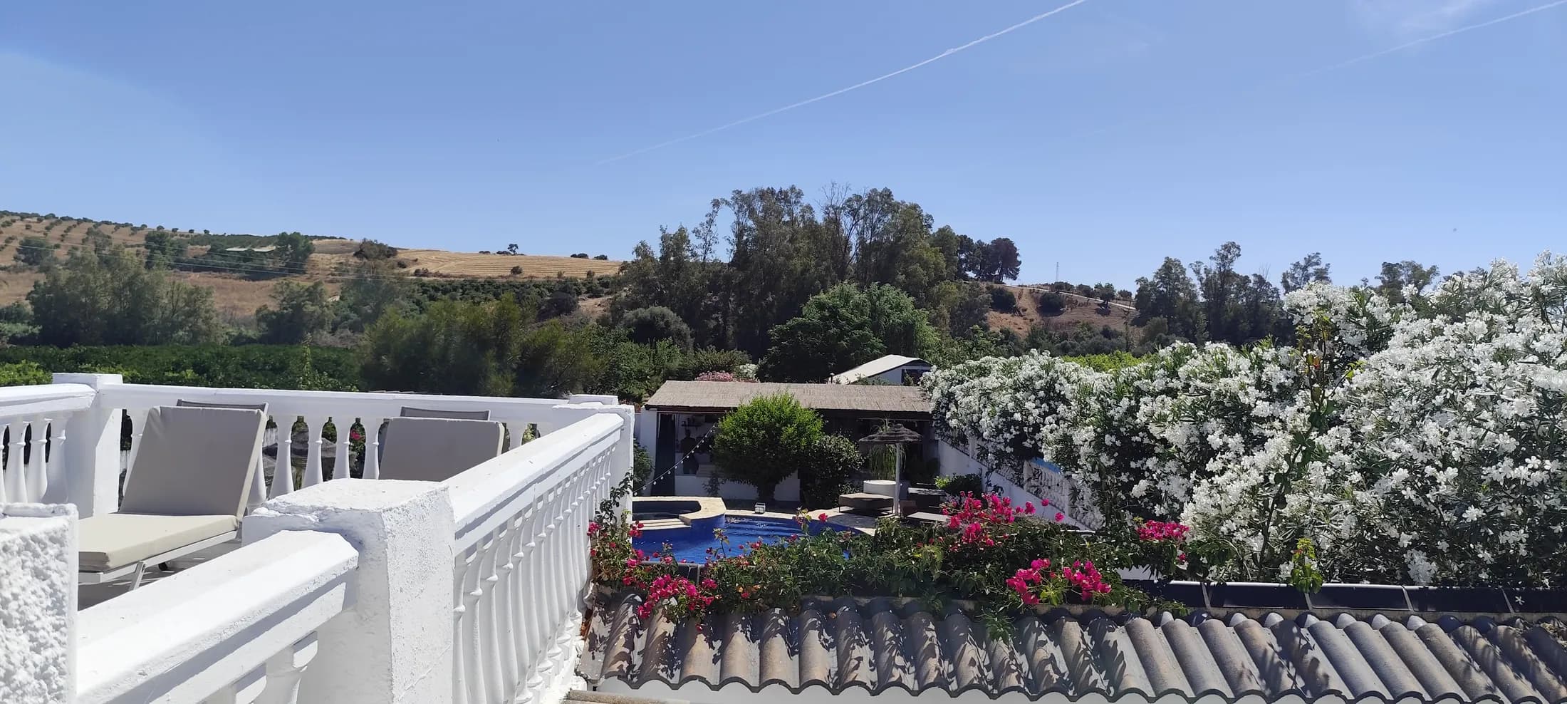 Mediterranean gardens at Dragonfly Retreat in Coín
